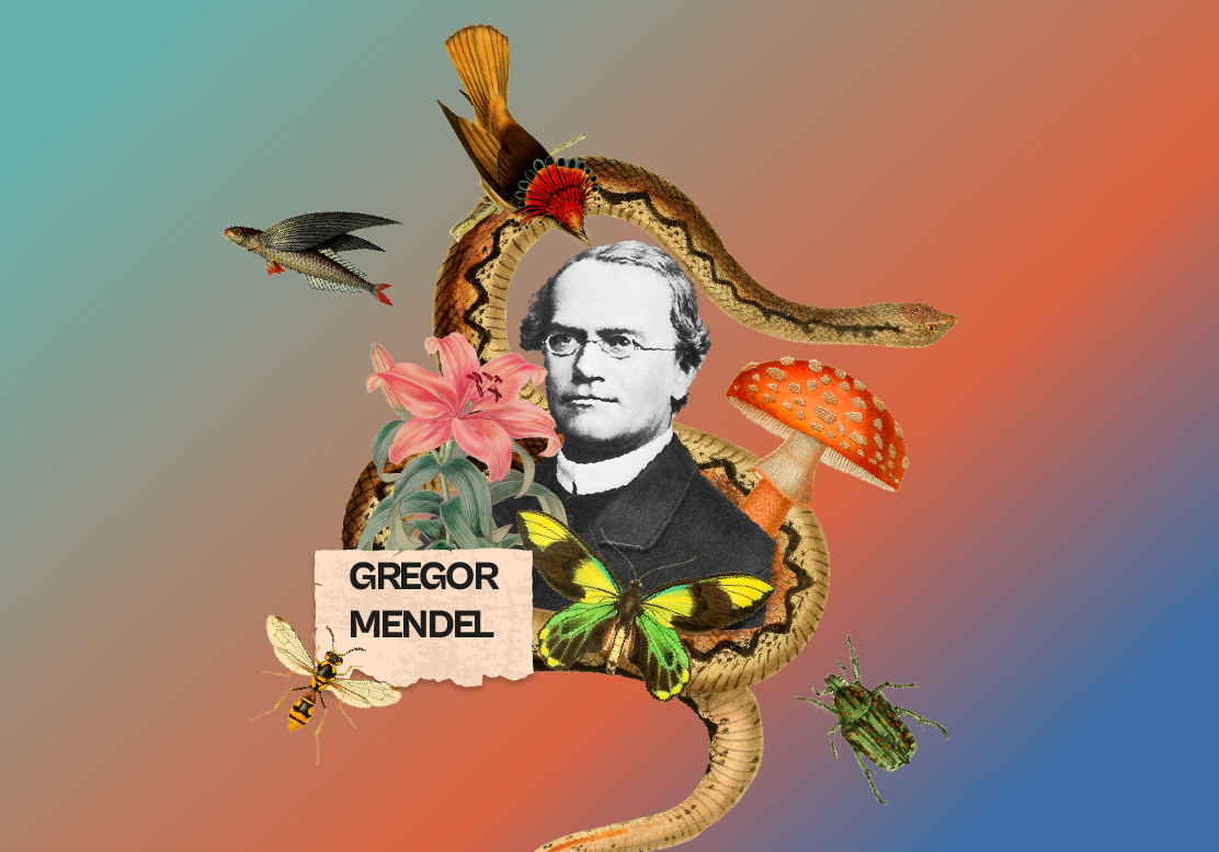 Gregor Mendel